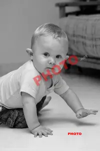  IGP2709 DxO raw Modifier